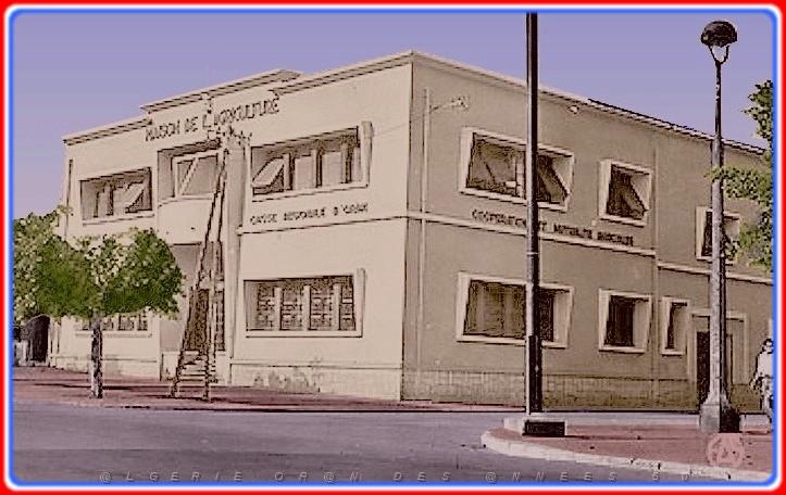 HAMMAM BOU HADJAR LA MAISON DE L AGRICULTURE.jpg
